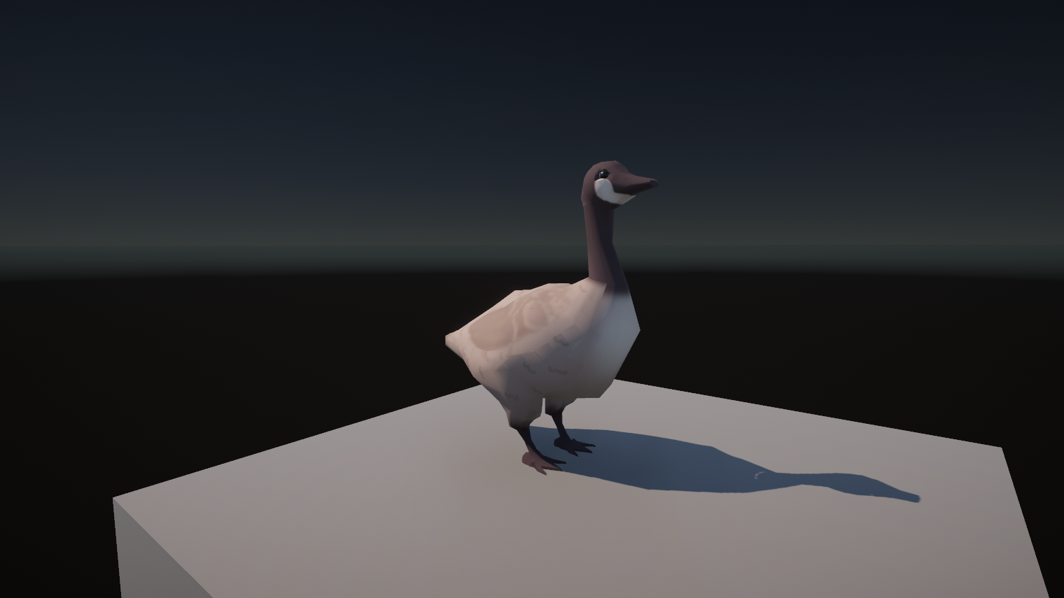 A Canada goose mesh.