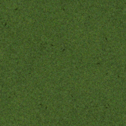 Grass Texture.